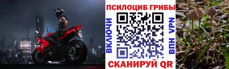 хочу   Вышний Волочёк  darknet наркотические препараты  Псилоцибиновые грибы мицелий 