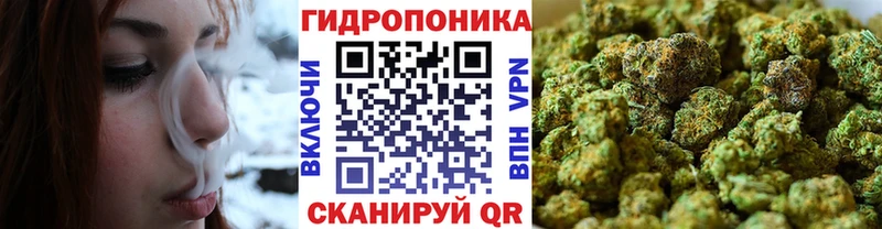 где купить наркоту  Вышний Волочёк  гидра tor  Каннабис MAZAR 